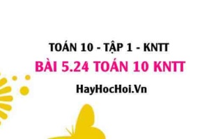 Bài 5.24 SGK Toán 10 Kết nối tri thức tập 1